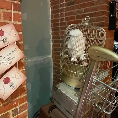 Harry-potter * تروي